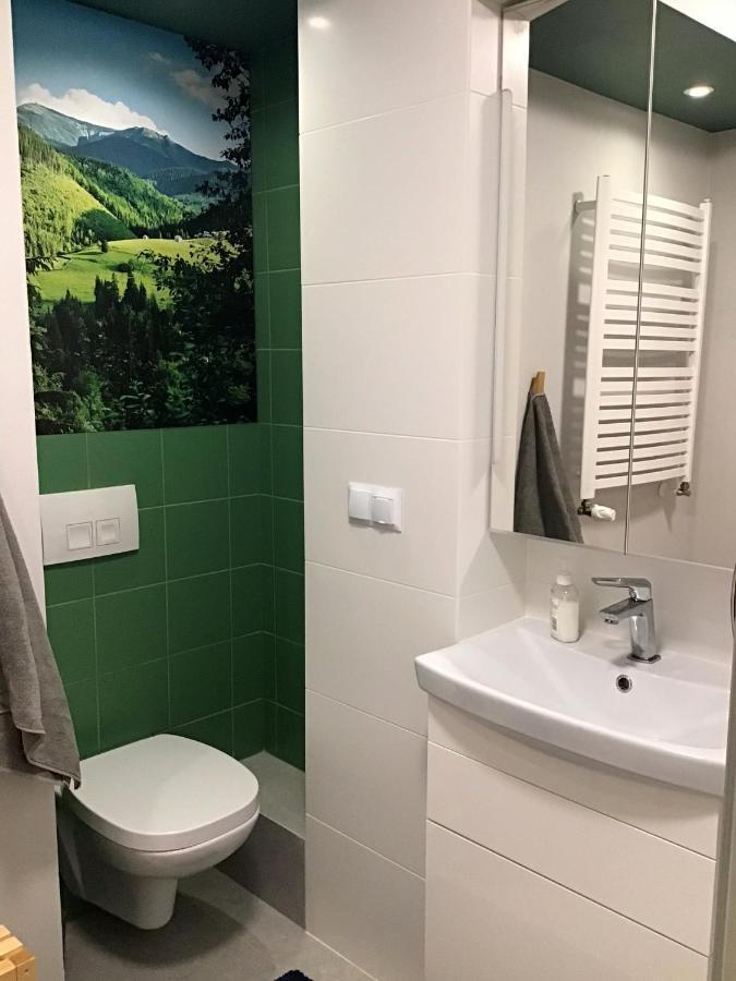 Apartament Karpaty 克雷尼察 外观 照片