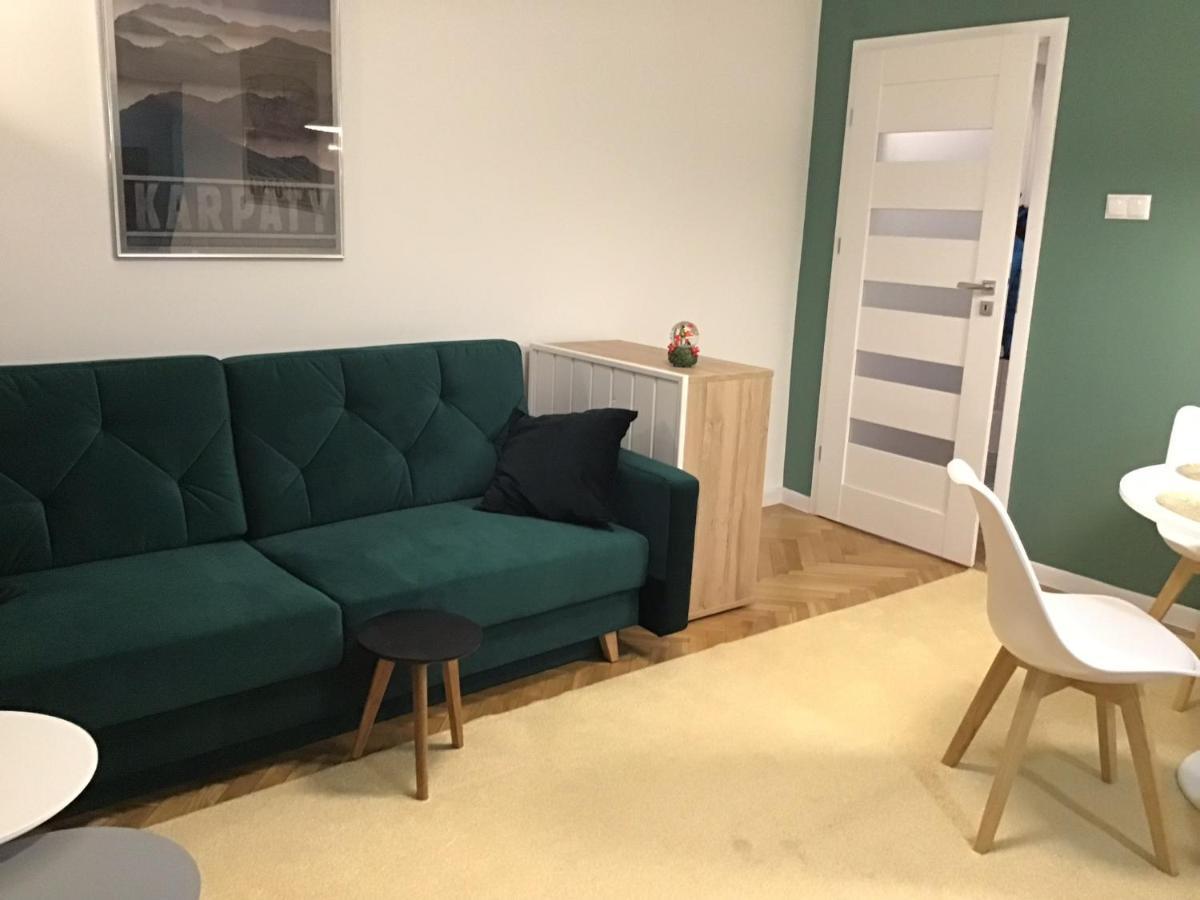 Apartament Karpaty 克雷尼察 外观 照片